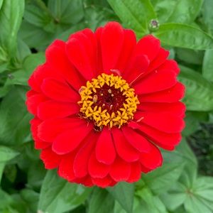 Meet your Posher, Maureen